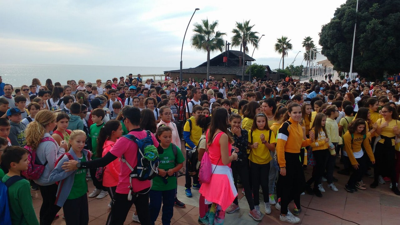 WhatsApp Image 2018 11 12 at 13.25.32 (1) (Copy)